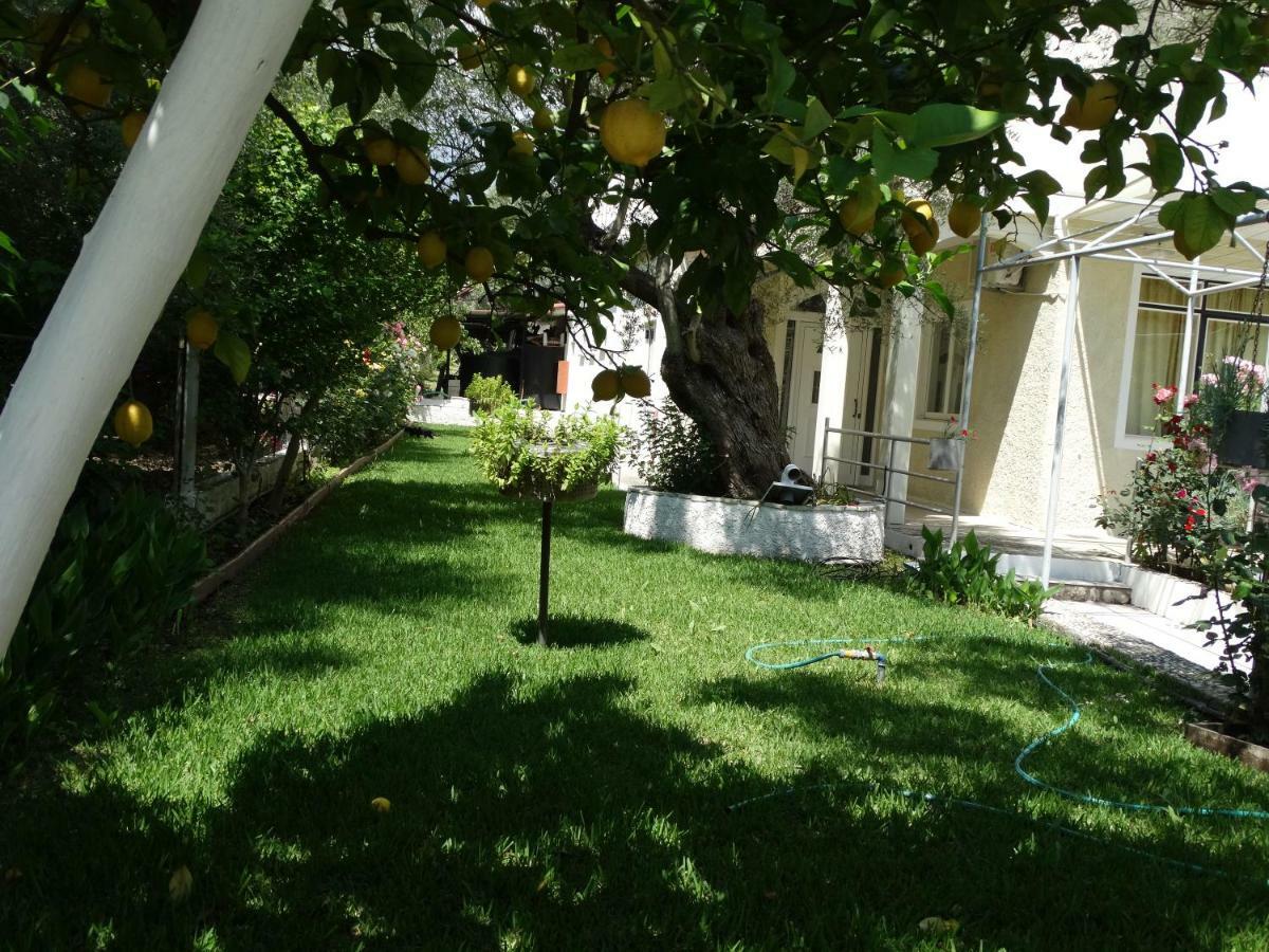 Margarita Apartments Nikiana Exterior photo